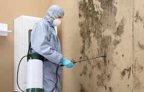 Reliable Windermere, FL Mold Removal & Remediation Solutions